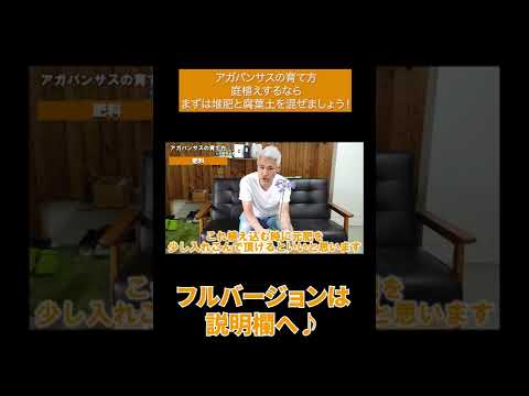 アガパンサスを成長させ、開花を促進するにはどのような肥料を使用すればよいですか