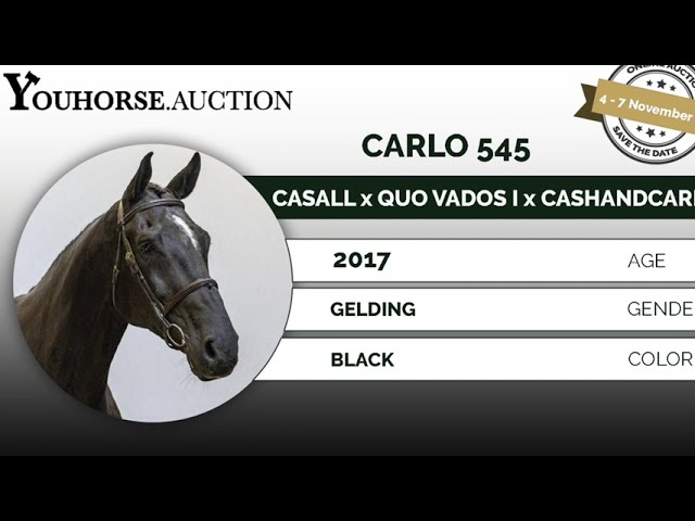 Carlo @ show