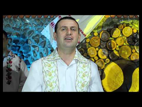 Dani Pomian si Formatia Armonic - Bate Doamne crâșmile