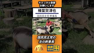 国民民主党 榛葉賀津也 幹事長がヤギのケビンとビリーと戯れる  | 参議院議員 静岡県 | 玉木雄一郎 所得税の壁 年少扶養控除復活 炎の幹事長