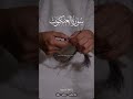 Sura Al Ankabut Verse 45 Urdu Translation Shortvideo Allah Quran Love Allahloves Youtube
