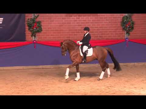 D´avie  (Don Juan de Hus x Londonderry x Walt Disney I)