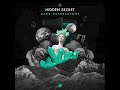 Hidden Secret In The Dark Official