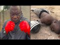 The Strongest In The World Sean Bridon Comedy