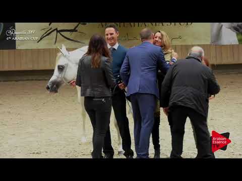 73 AJIB DE NAUTIAC Bronze winner junior colts championship