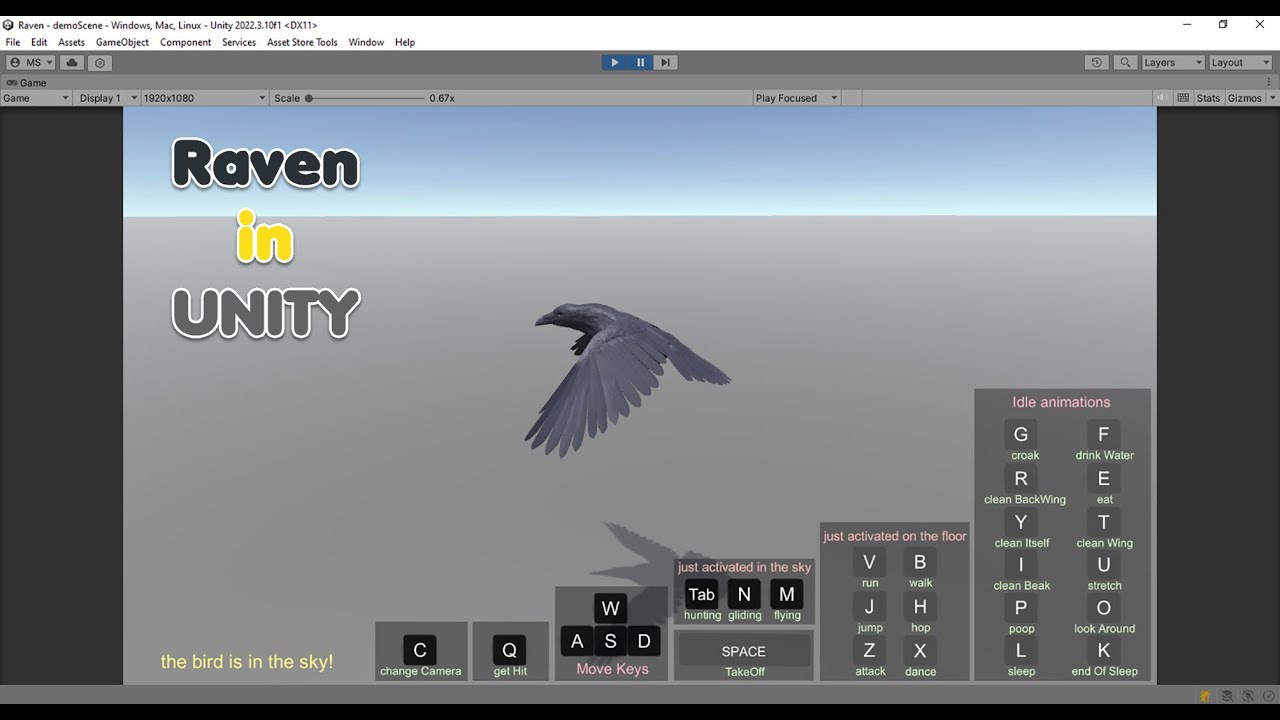 Corvo animato realistico Modello 3D