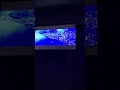 Opening To Hitch 2005 VHS