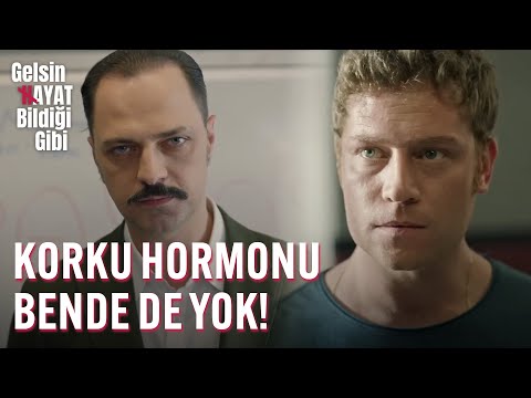 Korku Hormonu Bende De Yok!  - Gelsin Hayat Bildiği Gibi