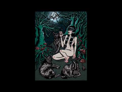 Astrix Vs Vini Vici - Light After The Darkness[Fear Of Hue intro](HolloW Mix)