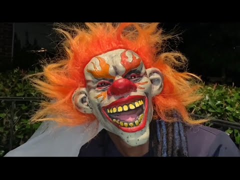 When The Bowl is Left Outside on Halloween