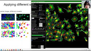 cellpose 2.0 tutorial: how to train your own cellular segmentation model