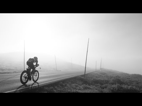 THIS IS NOT FOR YOU - 2021