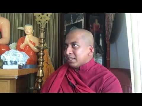 The meaning of the Noble Eightfold Path as given by the Buddha in the Mahācattārīsaka Sutta (MN 117)