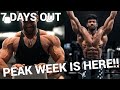 RAW CHEST WORKOUT 7 DAYS OUT | Prep Series Ep.6