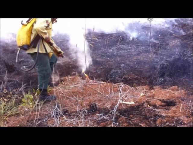 youtube video id=5qB6gxp4SBU