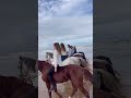 Horse Riding Bareback By A Beautiful 5 Ladies On Sea Beach Horseriding Shorts Bareback