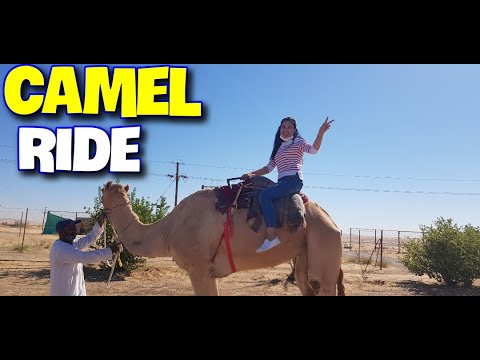 Camel Riding Adventure in Dubai UAE | A Diaries | Vlog #13
