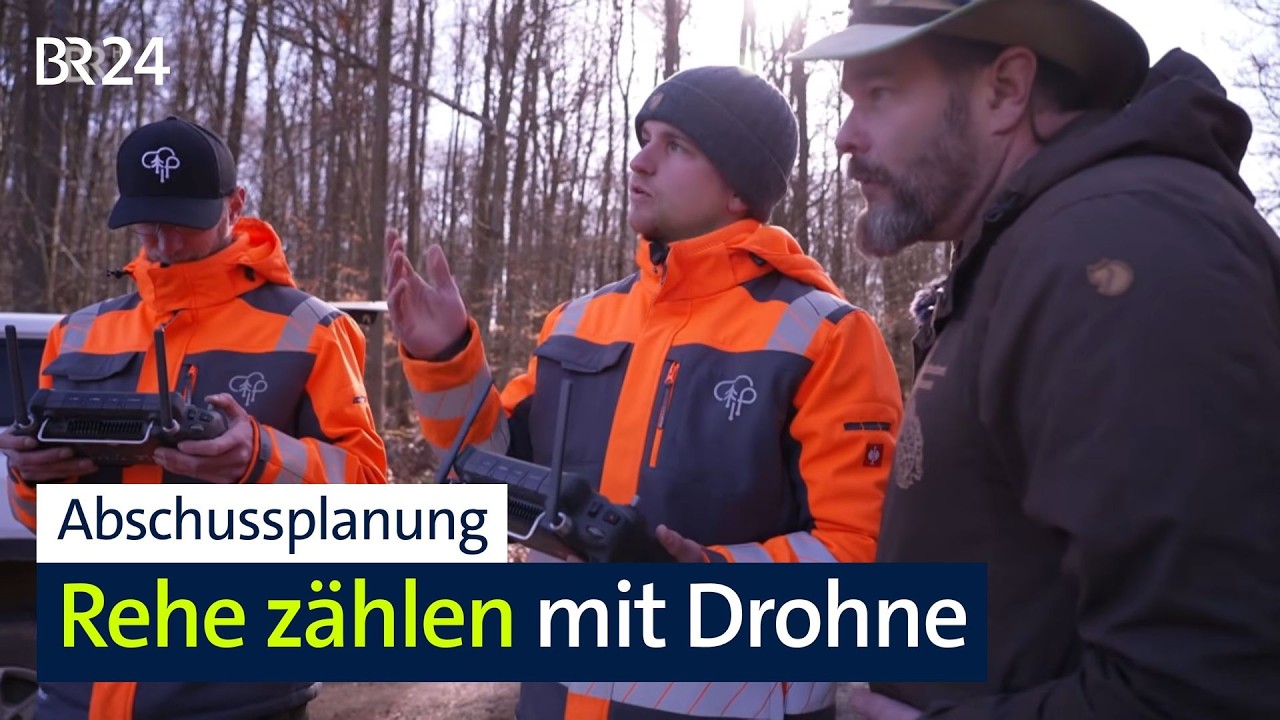 Rehzählung per Drohne: Neue Grundlage für Abschussplanung? | BR24