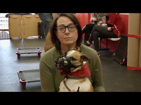 Video thumbnail: Client Testimonial: Jo and Roscoe