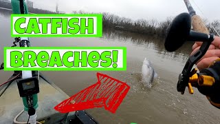 Big Catfish Breaches the Water in a Tidal Flat || James River || Kayak || Catfishing
