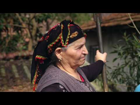 Die neue Völkerwanderung (1) | DW Deutsch