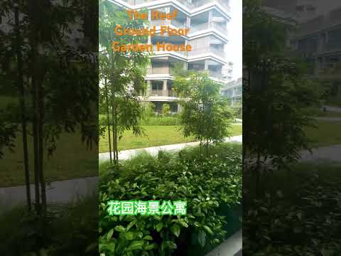 The Reef at King's Dock, 2 Harbourfront Avenue, Harbourfront / Telok Blangah, 1 Bedroom, 538 sqft, Condominium For Rent, by Florence Zheng Zhen, 25270173 - PropertyGuru.com.sg