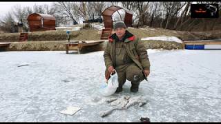 Платная рыбалка в подольском