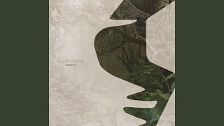 Download lagu Slow Down mp3 Download lagu Slow Down mp3