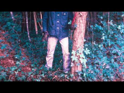 lots of hands - ugly man fun plan