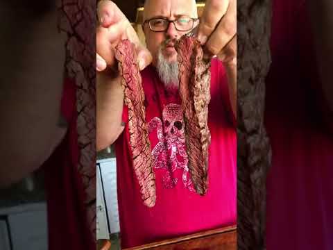 Fraldinha Red marinada na manteiga. #shortvideos