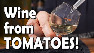 We Made ALCOHOL From TOMATOES! Tomato Wine Making