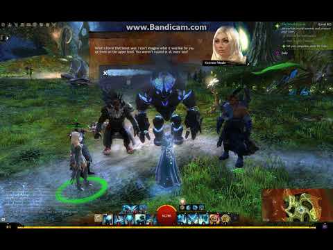 Guild Wars 2 - Guardian - Check on the world leaders - The Grove
