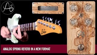 Video thumbnail for Anasounds Element Analog Spring Reverb by Mike Hermans