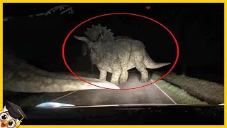 20 Dinosaurs Caught on Video in Real Life