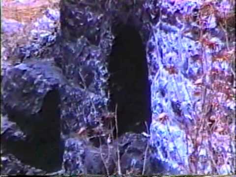 Camp S'dei Chemed 1989 Memories Video including The Western Wall narrated by Steven Hill