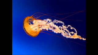 raging river of fear