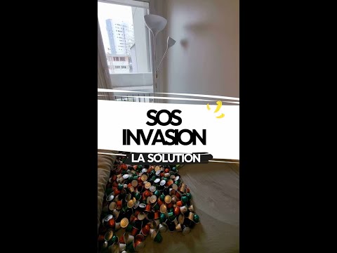 Stop aux capsules de lit !