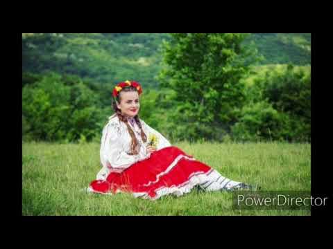 Paula Lezeu - Colaj Bihor 2020