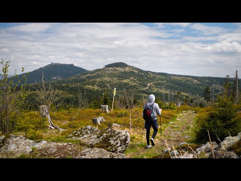 5 Tage allein auf dem Goldsteig