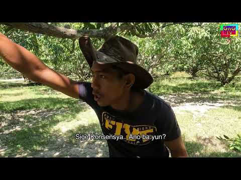 Nagala Mangga - Boyok Bugoy