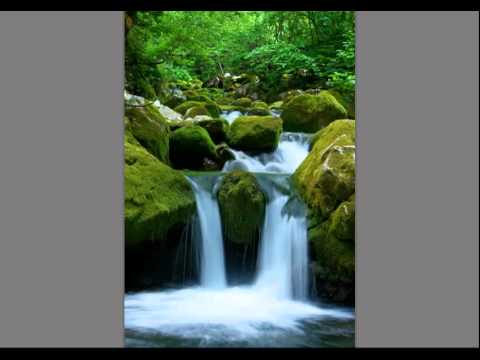 Understanding Shutter Speed