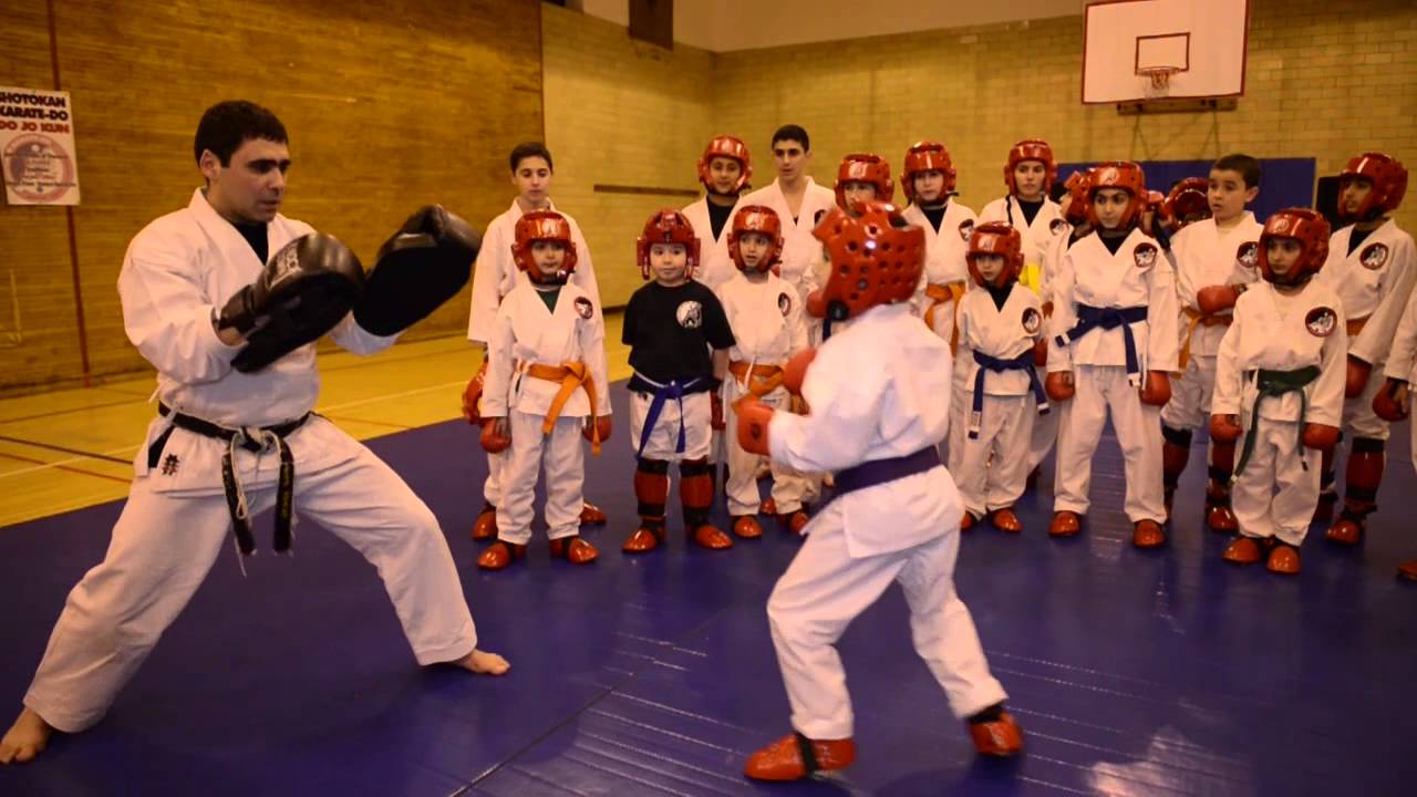 Shotokan Karate Studio
