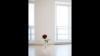 Помнишь, розу дарил мне неделю назад?