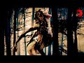 THE SHAPE OF THE WOODS Full Thriller Horror Movie English HD