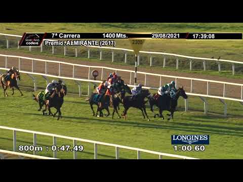 210829 c07 TRUFA NEGRA