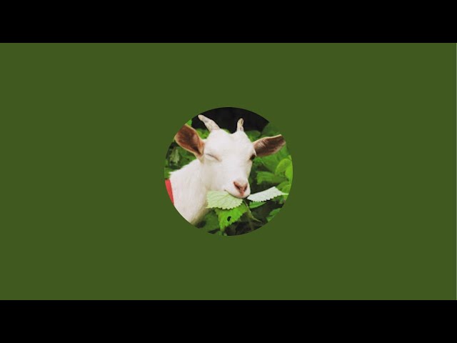ヤギーズランド