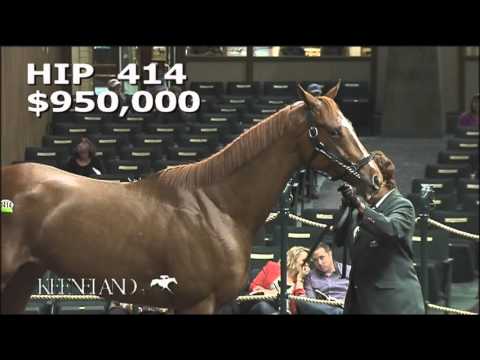 2015 November Breeding Stock Sale: Hip 414 - SAM'S SISTER