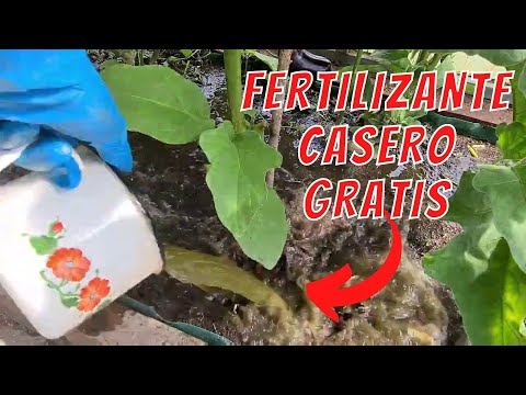 , title : 'La tradición un agricultor!  Fertilizante NITRÓGENO Libre II 100 veces más potente para las plantas'