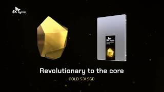 SK하이닉스 Gold S31 (1TB)_동영상_이미지