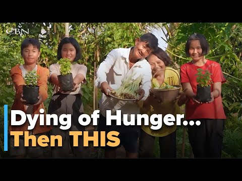 Witness21 Editor  2025 07 10